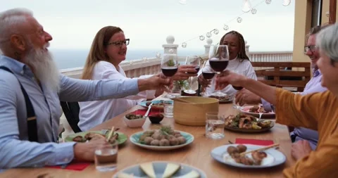 Multiracial senior people having fun at patio dinner cheering with wine Stock Footage 141122679