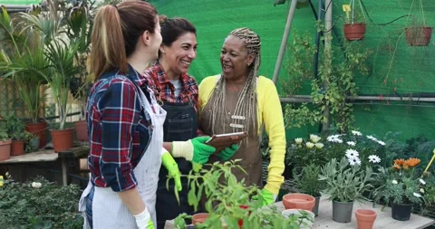 Multiracial senior women working inside greenhouse garden Видео 170940182