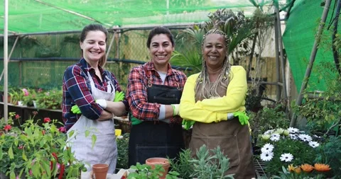 Multiracial senior women working inside greenhouse garden Видео 170940212