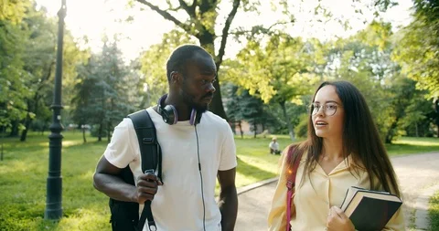 Multiracial Students Chatting in Park Видео 115664034