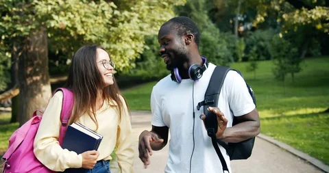 Multiracial Students Chatting in Park Видео 115664359