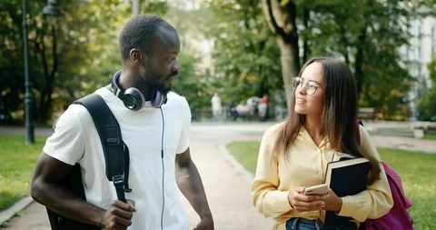 Multiracial Students Chatting in Park 库存影片 115664793