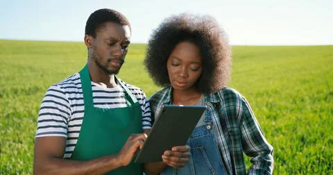 Multiracial two attractive young farmers experts browsing tablet computer Stock Photos