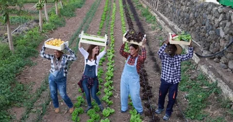 Multircial gardening people Stock Footage 151684083