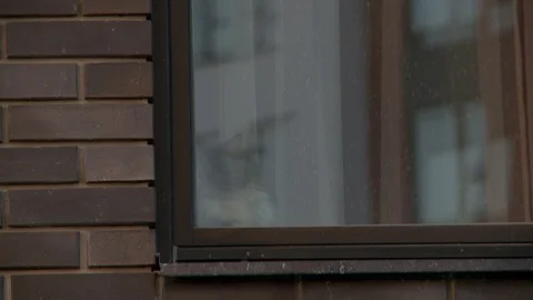 Multistorey building window and facade video Stock Footage 107816780