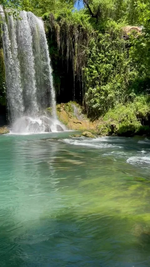 Multi‑Stream Waterfall Amid Dense Jungle Vegetation Stock Footage 304883525