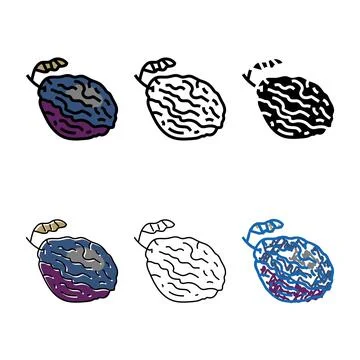 Multistyle prune plum dry color icon vector Stock Illustration