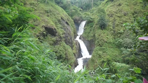 Multi–tier waterfall flowing through lush green cliffs in a tropical rainforest. Video stock 322993078