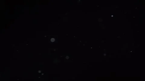A multitude of dust specks drift through the air,4k,slow-motion 스톡 동영상 306426727