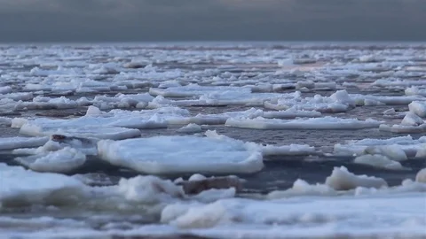 Multitude of ice floes drift on water surface. Static long shot of frozen sea Stock Footage 74991518