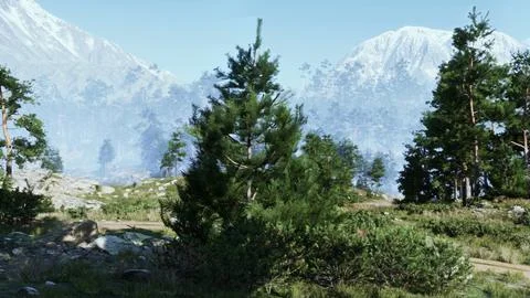 Multitude of trees illuminated by bright sun in the Alps Ilustración de archivo