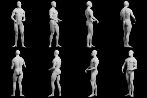 Multiview male anatomy reference black background Stock Illustration