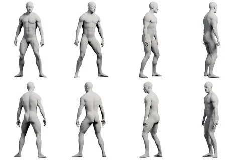 Multiview male anatomy reference figure standing Stock Illustration