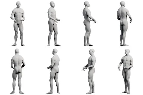 Multiview male anatomy reference white background Stock Illustration