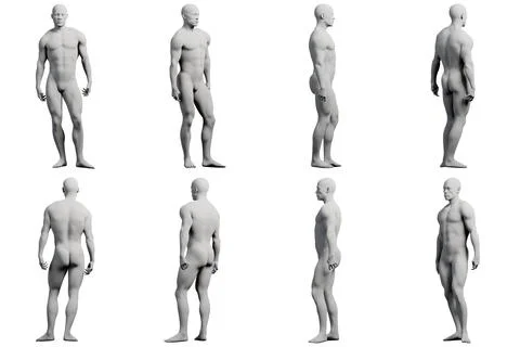 Multiview male figure model standing in studio setting Stock-Illustration