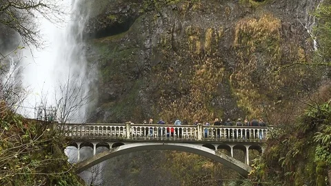Multnomah Falls Bridge with Tourists Looking at Falls Stock Footage 100532137