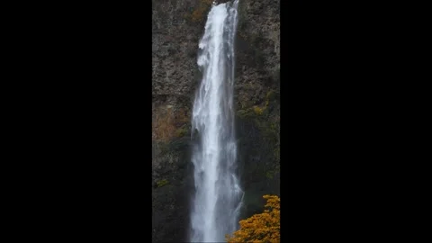 Multnomah Falls in Columbia Gorge at fall, autumn 스톡 동영상 285843622