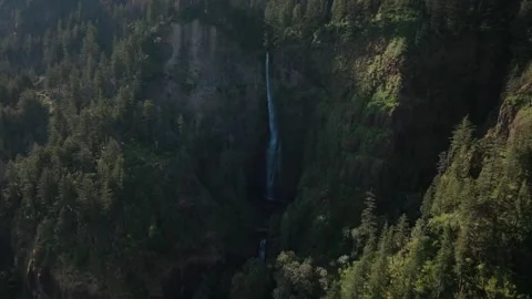 Multnomah Falls Video stock 288281272