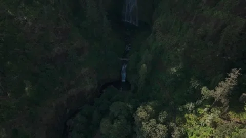 Multnomah Falls Video stock 288281298