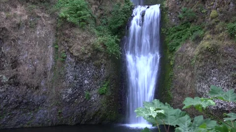 Multnomah Falls, Oregon from a distance with green trees. Time Lapse Stock Footage