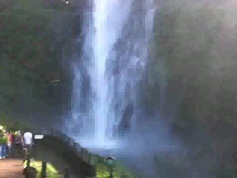 Multnomah Falls in Oregon Stock Footage 380828