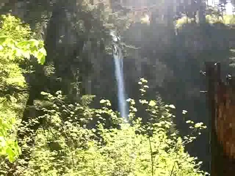 Multnomah Falls in Oregon Stock Footage 380830