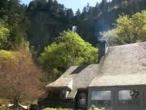 Multnomah Falls in Oregon Stock Footage 380834