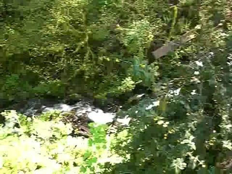 Multnomah Falls in Oregon Stock Footage 380837