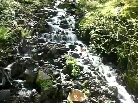 Multnomah Falls in Oregon Stock Footage 380840