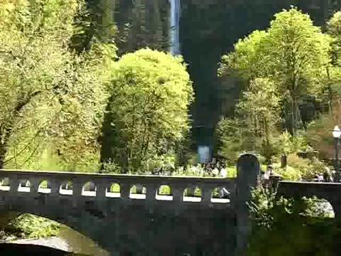 Multnomah Falls in Oregon Stock Footage 380896