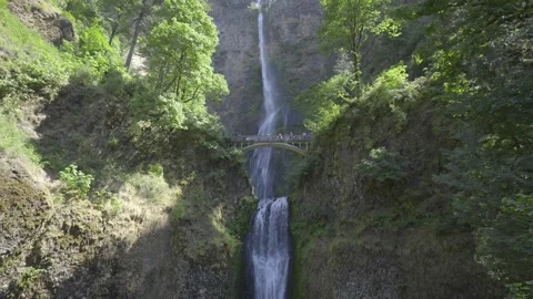 Multnomah Falls Oregon Stock Footage 265703451