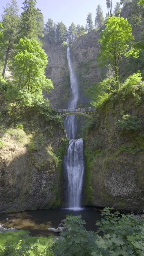 Multnomah Falls Oregon Stock Footage 265704386