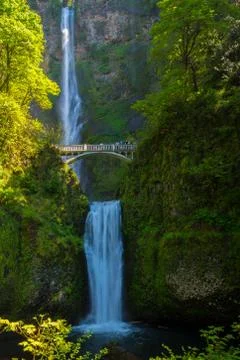 Multnomah Falls Stock Photos