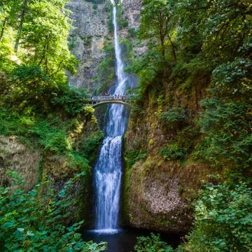 Multnomah Falls Stock Photos