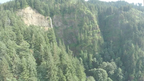 Multnomah Falls revealed over the forest in Oregon aerial Video stock 348049992