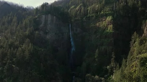 MultnomahFalls 5 Video stock 288281278
