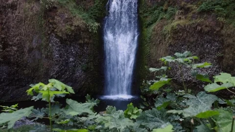 MultnomahFalls Video stock 288252627