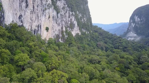Mulu Pinnacles Stock Footage 105696340