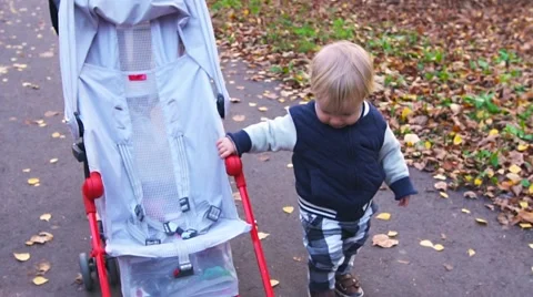 Mum walks with the child in a stroller through the autumn alley. Stock Footage 68487587