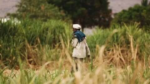 Mumbai - Farming Stock Footage 120018124
