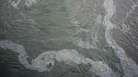 Mumbai Harbor Pollution Stock Footage 54715832