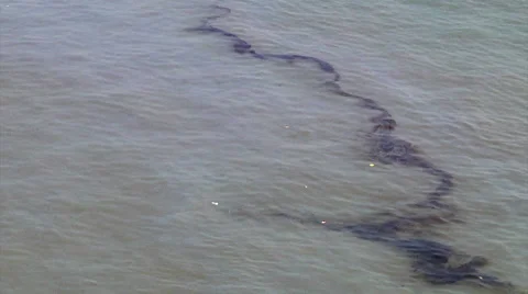 Mumbai Harbor Pollution Stock Footage 54716958