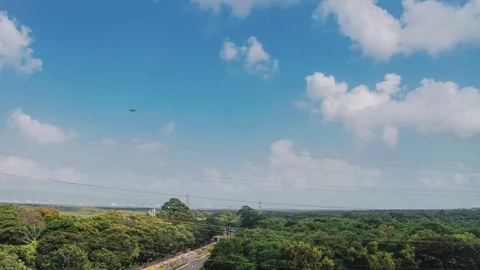 Mumbai Mangroves Stock Footage 79238380