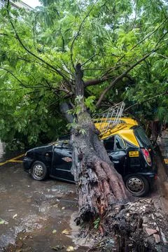 Mumbai monsoon - Rain 写真素材