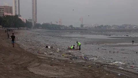 Mumbai students join World Cleanup Day on Dadar Beach, Bombay, IN - 20 Sep 2025 Stock Footage 317435266