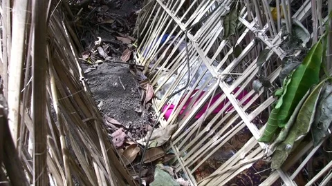 Mummified body Stock Footage 70844978