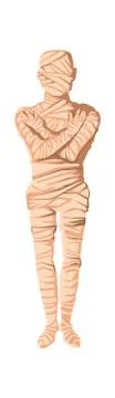 Mummy creation stage cartoon illustration 스톡 일러스트