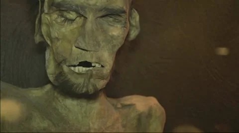 Mummy Face Stock Footage 10585267