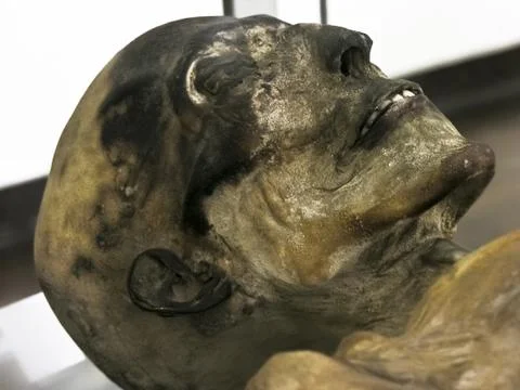 Mummy face Stock Photos