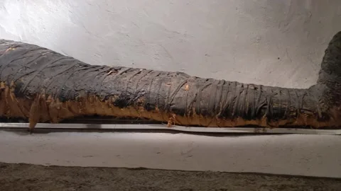 Mummy Object Closeup Stock Footage 169458750